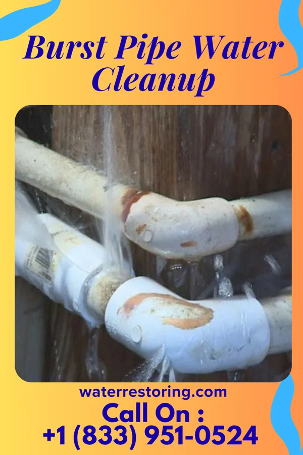Burst Pipe Water Cleanup in Wurtsboro Hills, NY