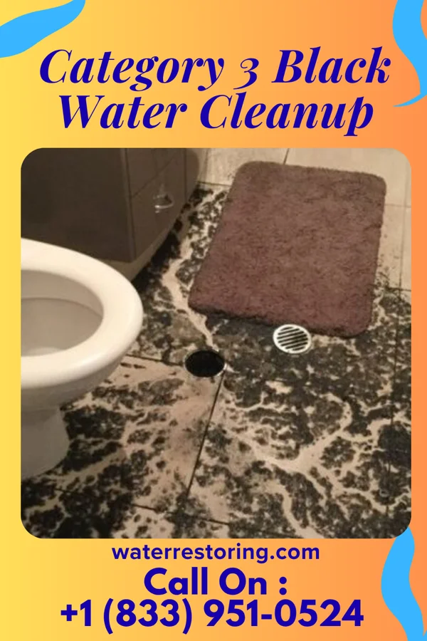 Category 3 Black Water Cleanup in Wurtsboro Hills, NY