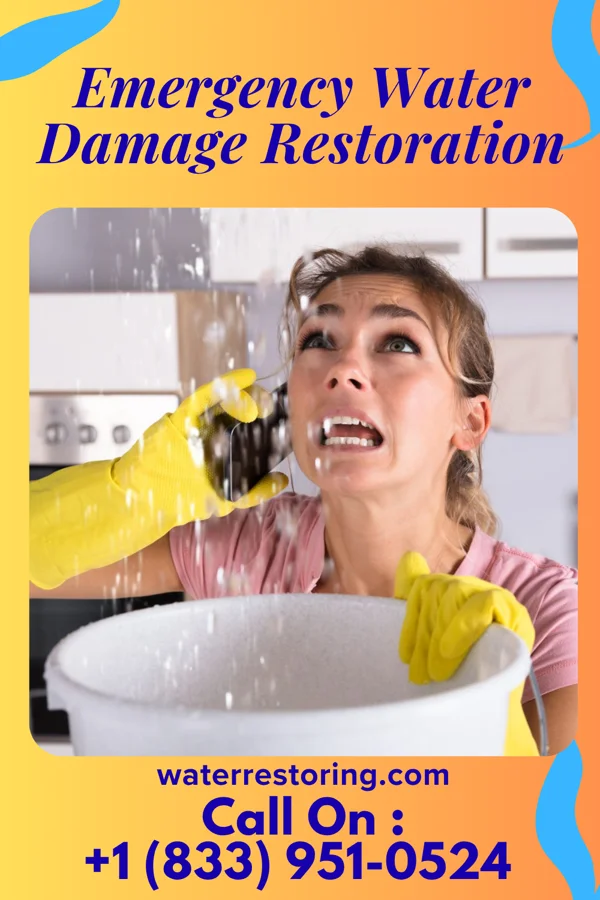 Emergency Water Damage Restoration in Wurtsboro Hills, NY