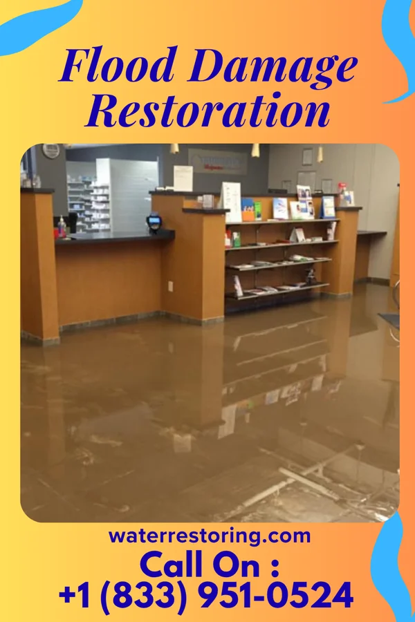 Flood Damage Restoration in Wurtsboro Hills, NY
